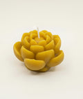 Yellow candle shaped like a flower on a white background