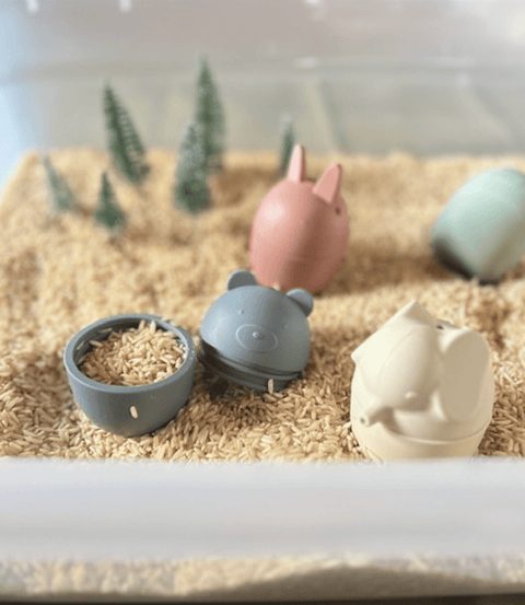 Animal Bath Toy Set - The WonderMart