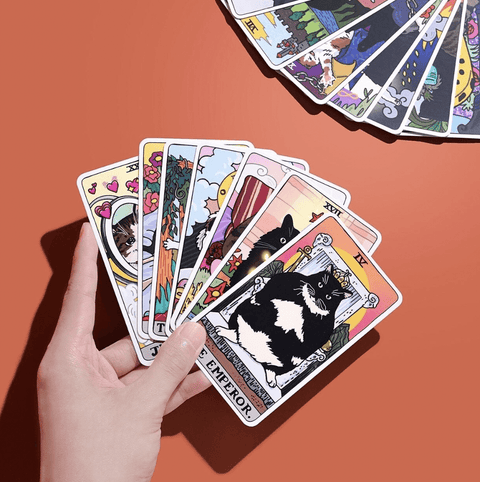 Cat Meme Tarot Deck - The WonderMart