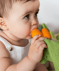Cathy the Carrot Mini Doudou Teether - The WonderMart