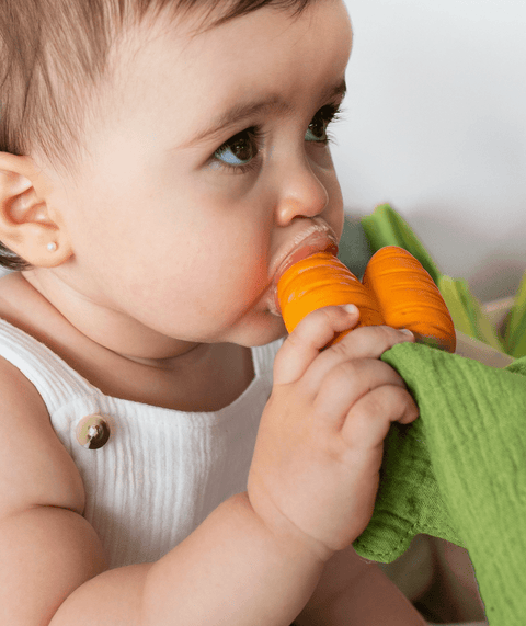 Cathy the Carrot Mini Doudou Teether - The WonderMart