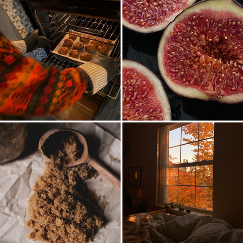 Folklore Fig Candle