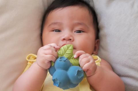 Jerry the Blueberry Teether Toy
