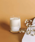 [Eucalyptus - White Tea - Bamboo] Candle - The WonderMart