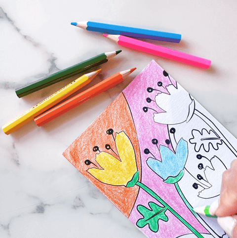 FLORA Color Me Postcards - The WonderMart