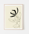 Magnolia - The WonderMart