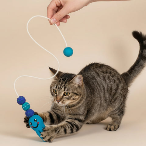 Cat playing with a blue and black toy on a beige background