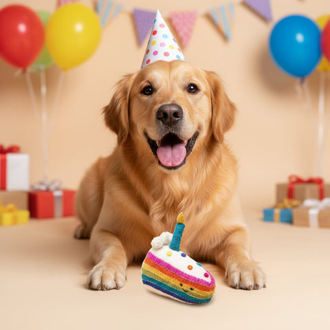 Colorful toy resembling a birthday cake with a candle on a beige background
