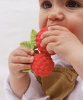 Valery the Raspberry Teether Toy - The WonderMart